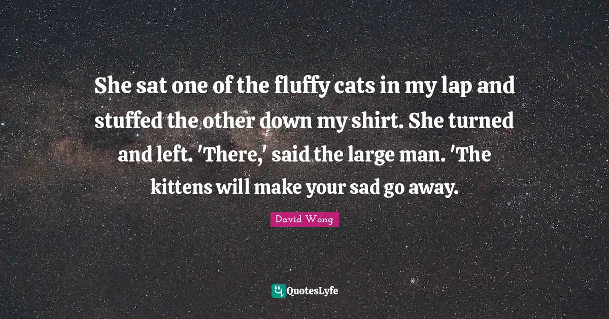 She sat one of the fluffy cats in my lap and stuffed the other down my shirt. She turned and left. 'There,' said the large man. 'The kittens will make your sad go away.