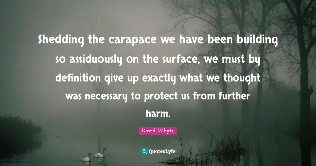 Shedding the carapace we have been building so assiduously on the surface, we must by definition give up exactly what we thought was necessary to protect us from further harm.