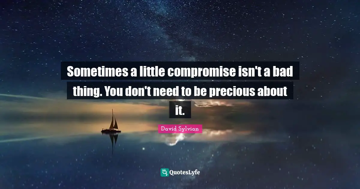 David Sylvian Quotes: "Sometimes a little compromise isn't a bad thing. You don't need to be precious about it."
