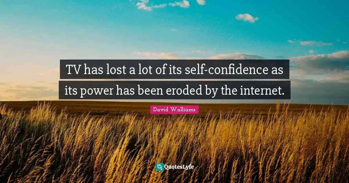TV has lost a lot of its self-confidence as its power has been eroded by the internet.