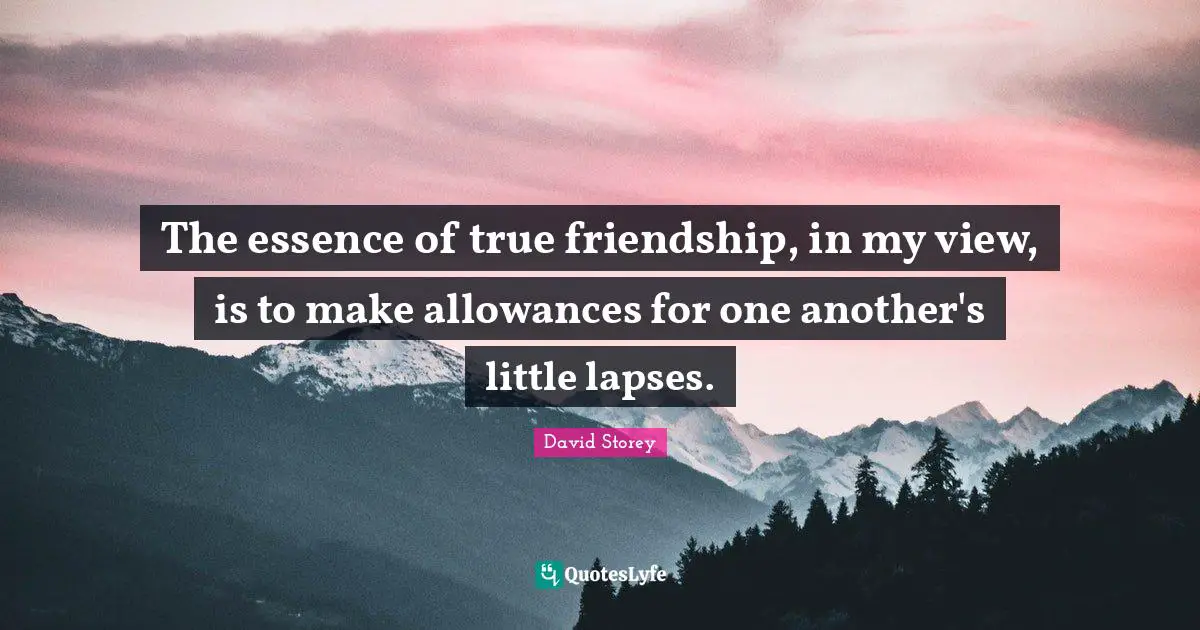 True Friendship Quotes: "The essence of true friendship, in my view, is to make allowances for one another's little lapses."