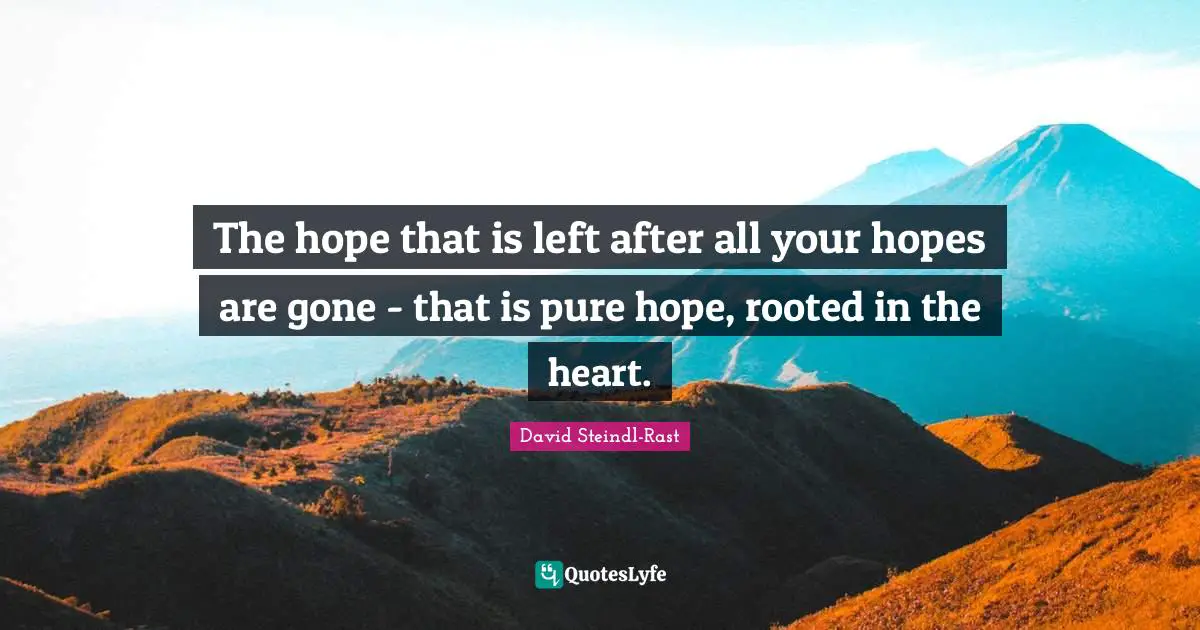 David Steindl-Rast Quotes: "The hope that is left after all your hopes are gone - that is pure hope, rooted in the heart."