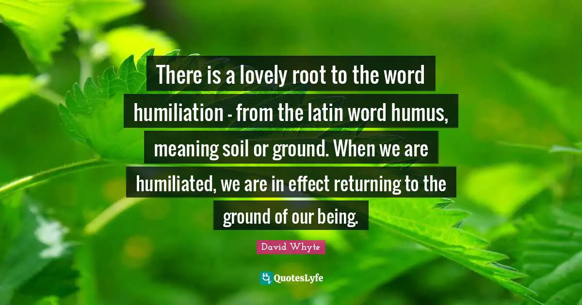 Latin Quotes: "There is a lovely root to the word humiliation - from the latin word humus, meaning soil or ground. When we are humiliated, we are in effect returning to the ground of our being."