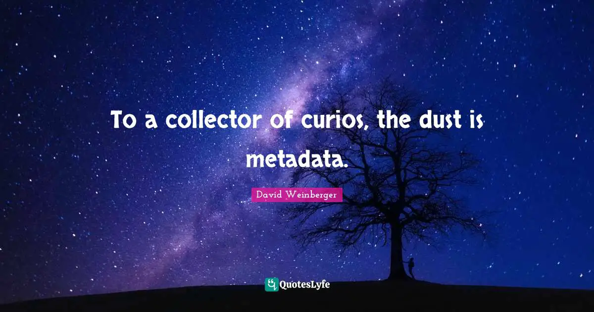 To a collector of curios, the dust is metadata.