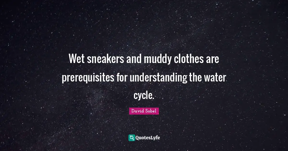 Muddy Quotes: "Wet sneakers and muddy clothes are prerequisites for understanding the water cycle."