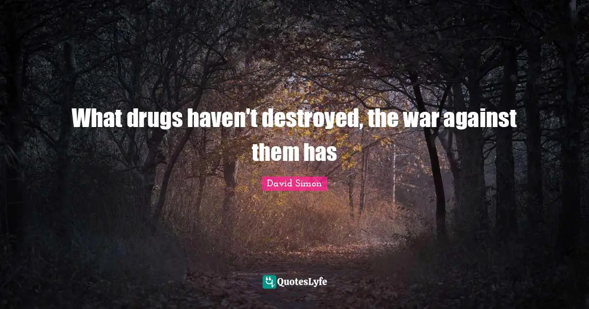What drugs haven't destroyed, the war against them has