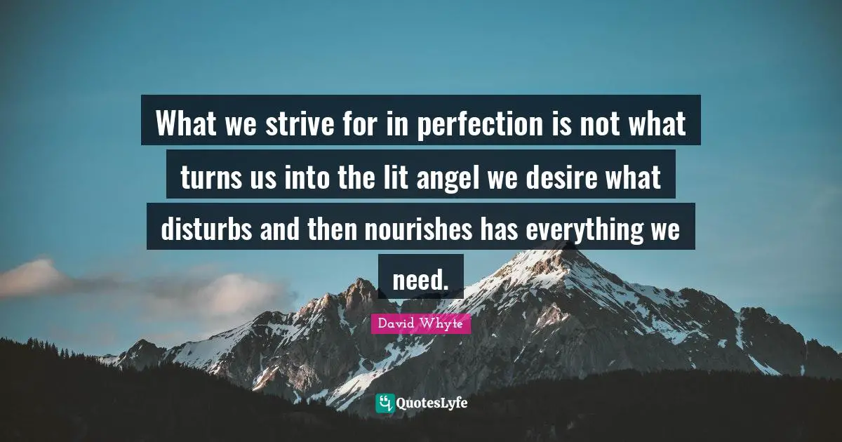 What we strive for in perfection is not what turns us into the lit angel we desire what disturbs and then nourishes has everything we need.