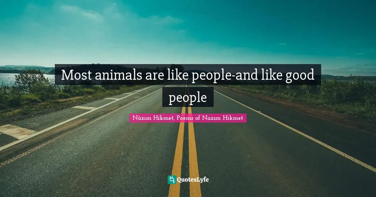 Most animals are like people-and like good people