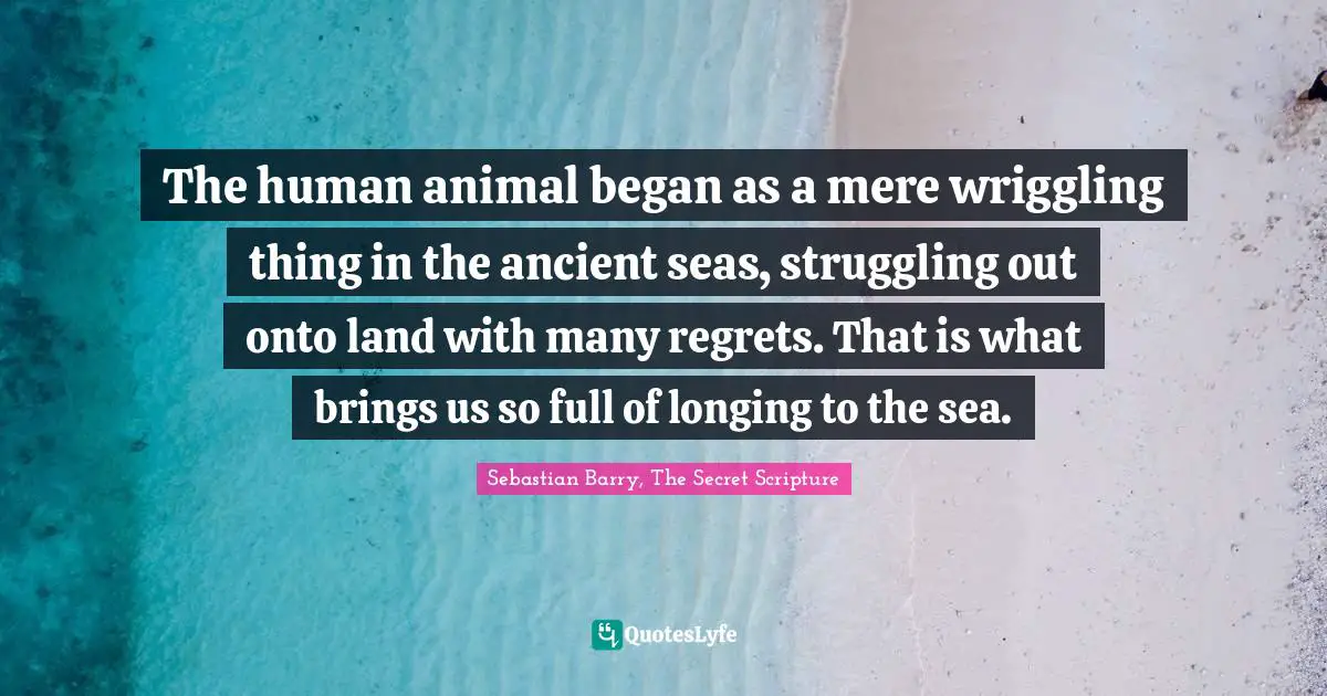 The human animal began as a mere wriggling thing in the ancient seas, struggling out onto land with many regrets. That is what brings us so full of longing to the sea.