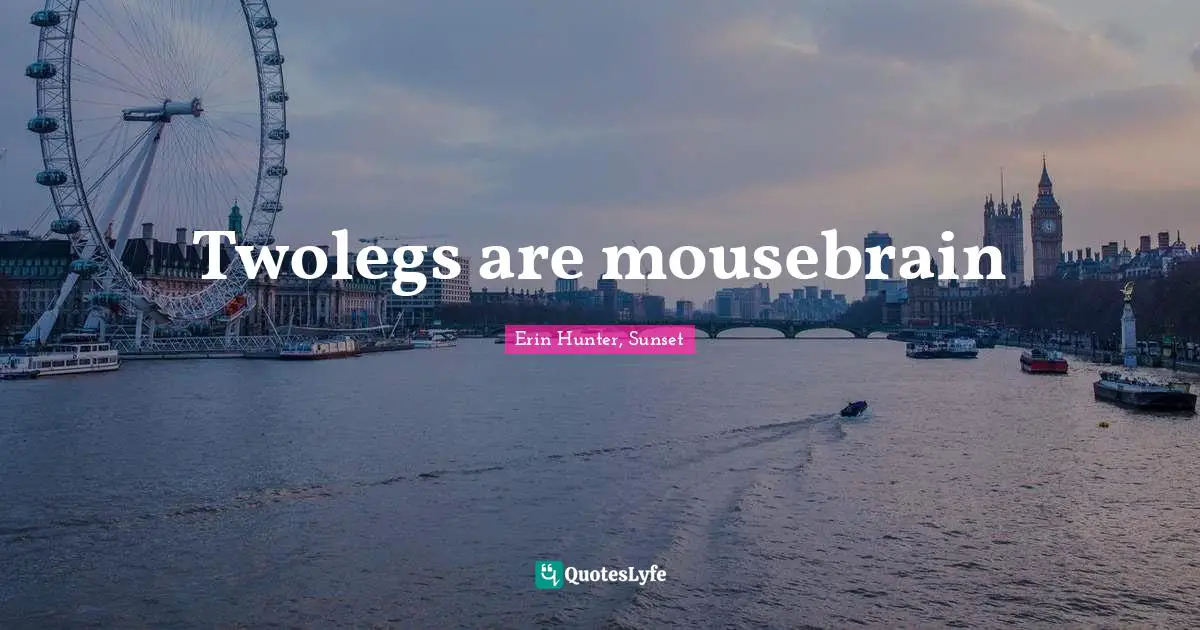 Twolegs are mousebrain