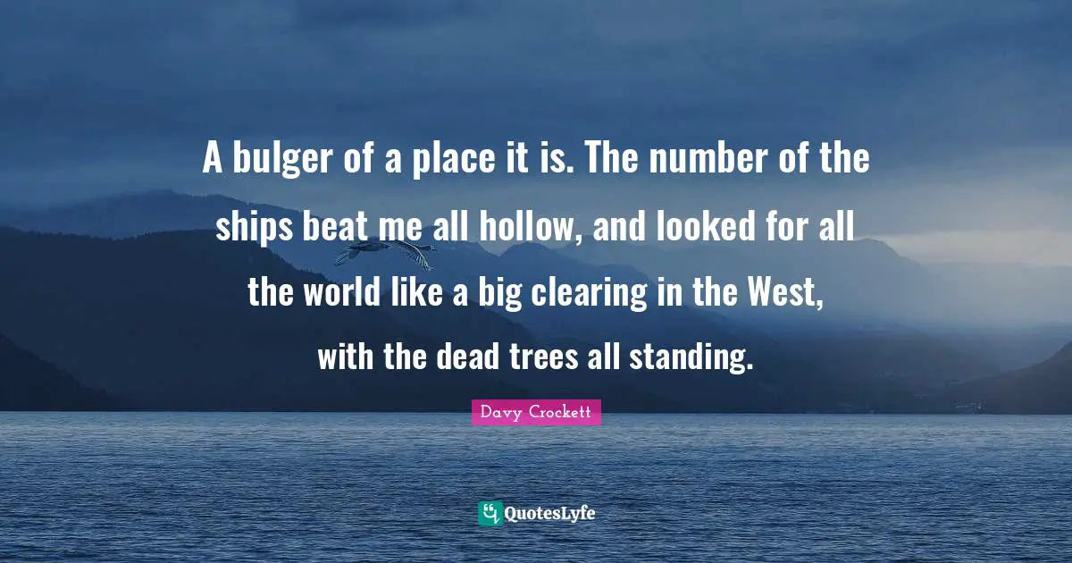 Davy Crockett Quotes: "A bulger of a place it is. The number of the ships beat me all hollow, and looked for all the world like a big clearing in the West, with the dead trees all standing."