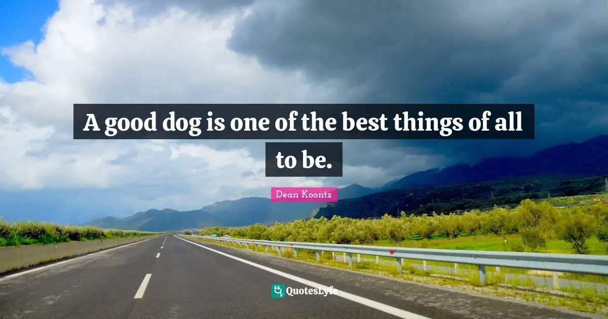 A good dog is one of the best things of all to be.