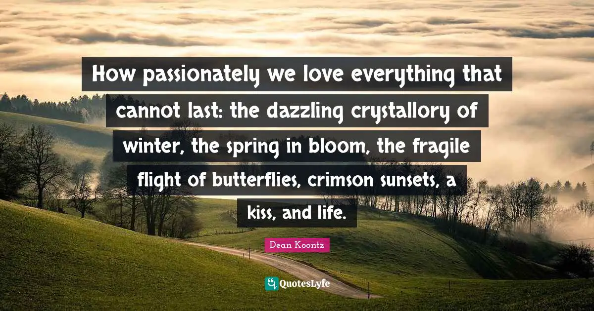 How passionately we love everything that cannot last: the dazzling crystallory of winter, the spring in bloom, the fragile flight of butterflies, crimson sunsets, a kiss, and life.
