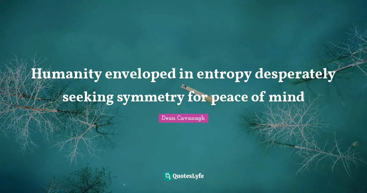 Humanity enveloped in entropy desperately seeking symmetry for peace of mind