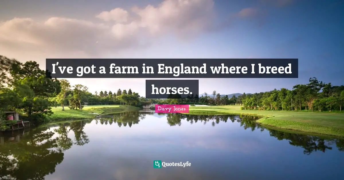 I've got a farm in England where I breed horses.