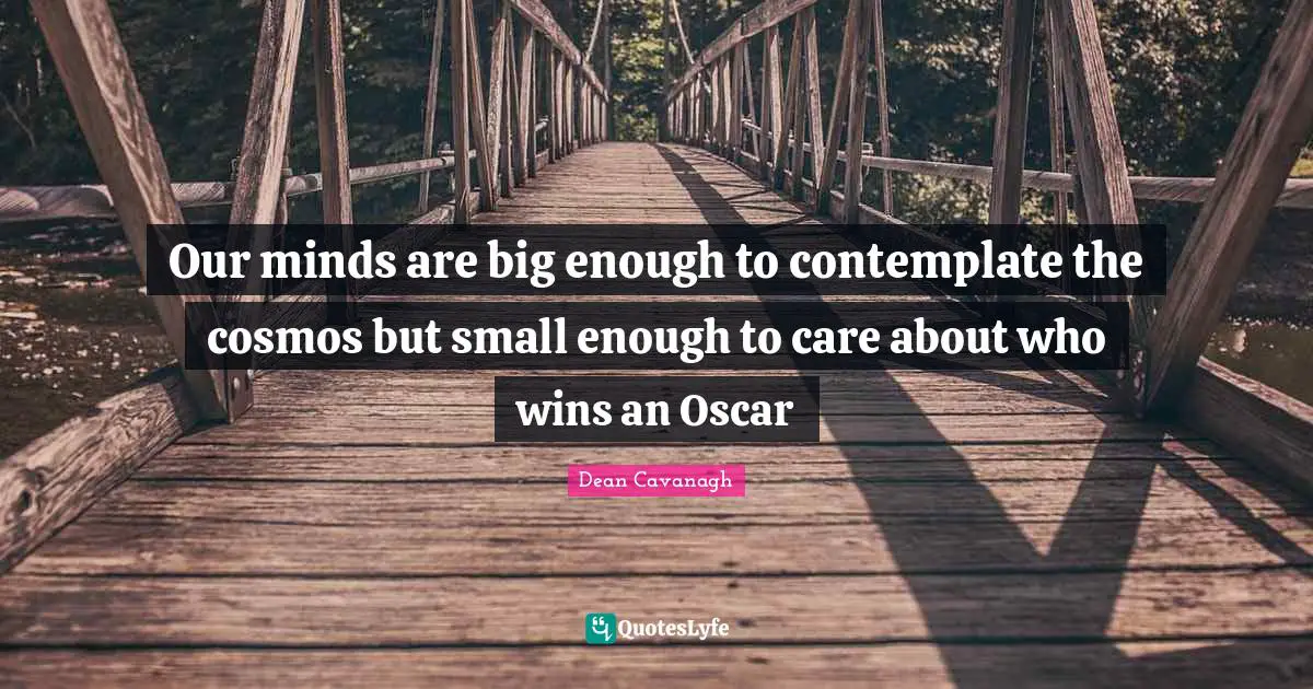 Our minds are big enough to contemplate the cosmos but small enough to care about who wins an Oscar