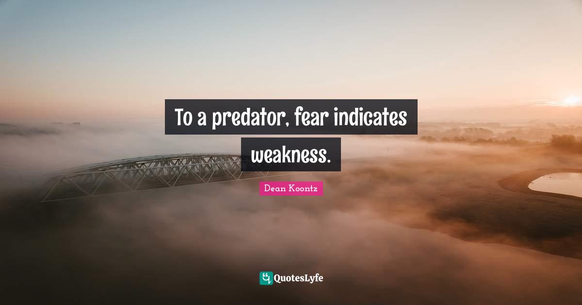To a predator, fear indicates weakness.