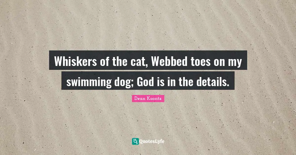Whiskers of the cat, Webbed toes on my swimming dog; God is in the details.