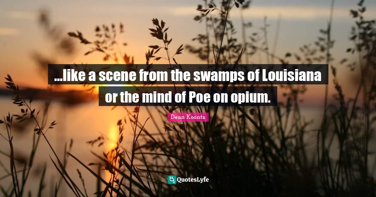 ...like a scene from the swamps of Louisiana or the mind of Poe on opi