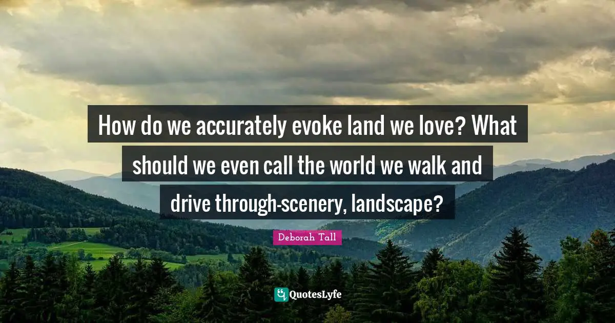How do we accurately evoke land we love? What should we even call the world we walk and drive through-scenery, landscape?
