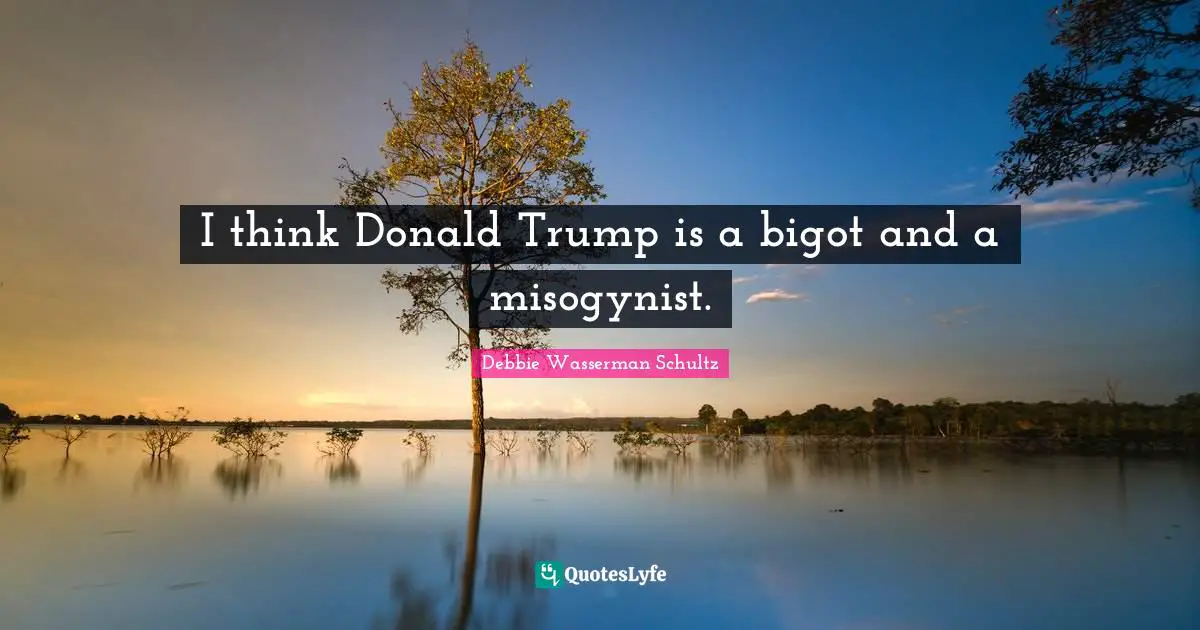 I think Donald Trump is a bigot and a misogynist.