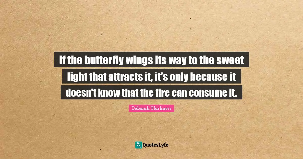 If the butterfly wings its way to the sweet light that attracts it, it's only because it doesn't know that the fire can consume it.