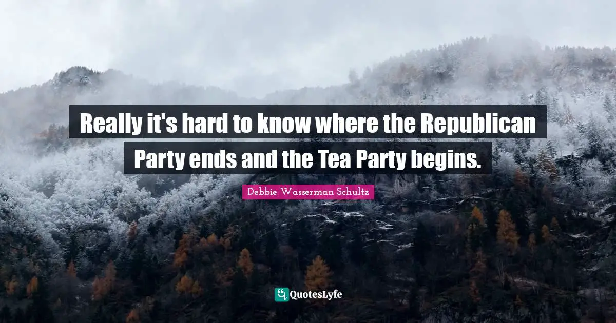 Really it's hard to know where the Republican Party ends and the Tea Party begins.