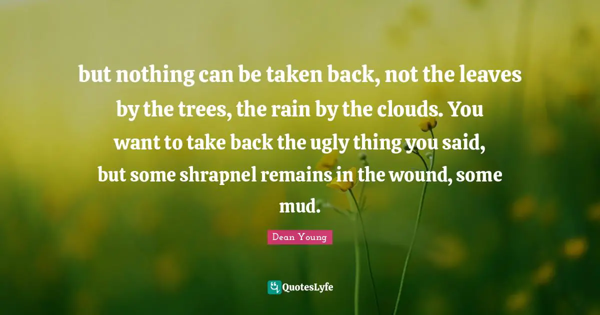 Dean Young Quotes: "but nothing can be taken back, not the leaves by the trees, the rain by the clouds. You want to take back the ugly thing you said, but some shrapnel remains in the wound, some mud."