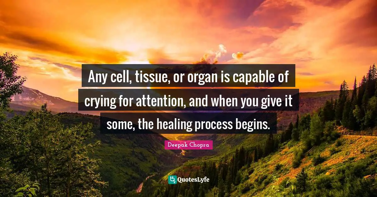 Any cell, tissue, or organ is capable of crying for attention, and when you give it some, the healing process begins.