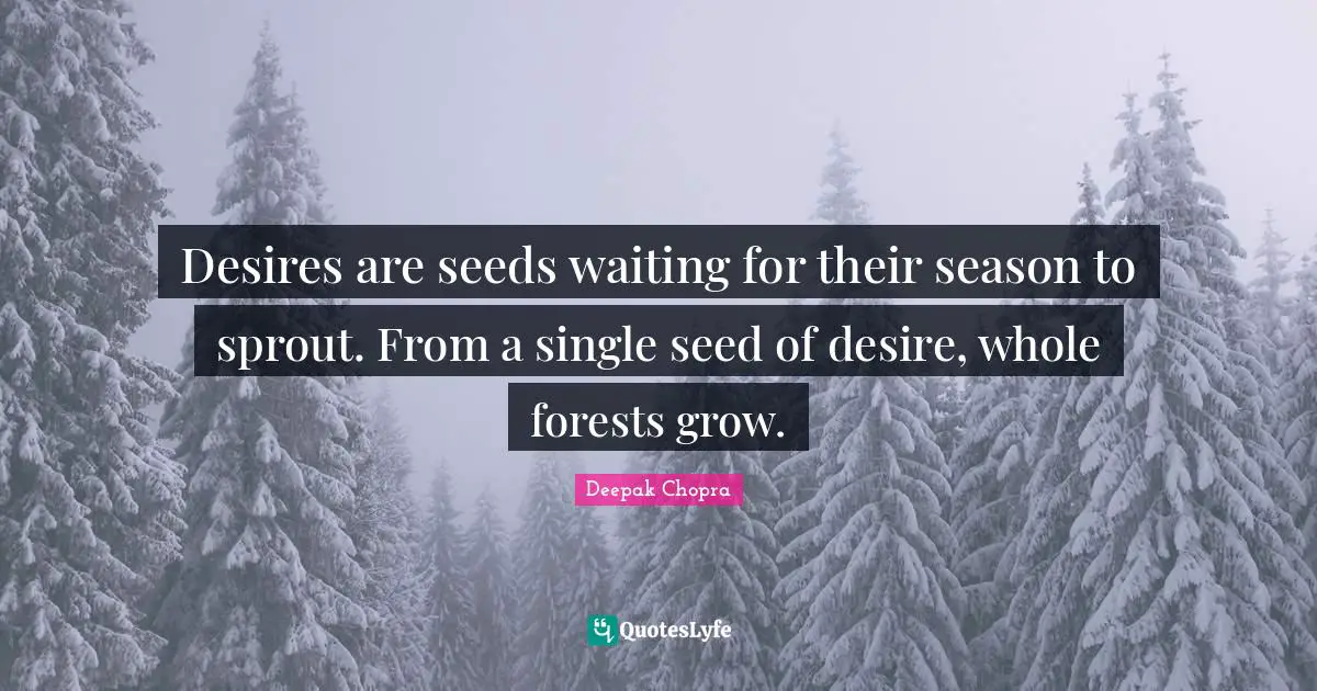 Desires are seeds waiting for their season to sprout. From a single seed of desire, whole forests grow.