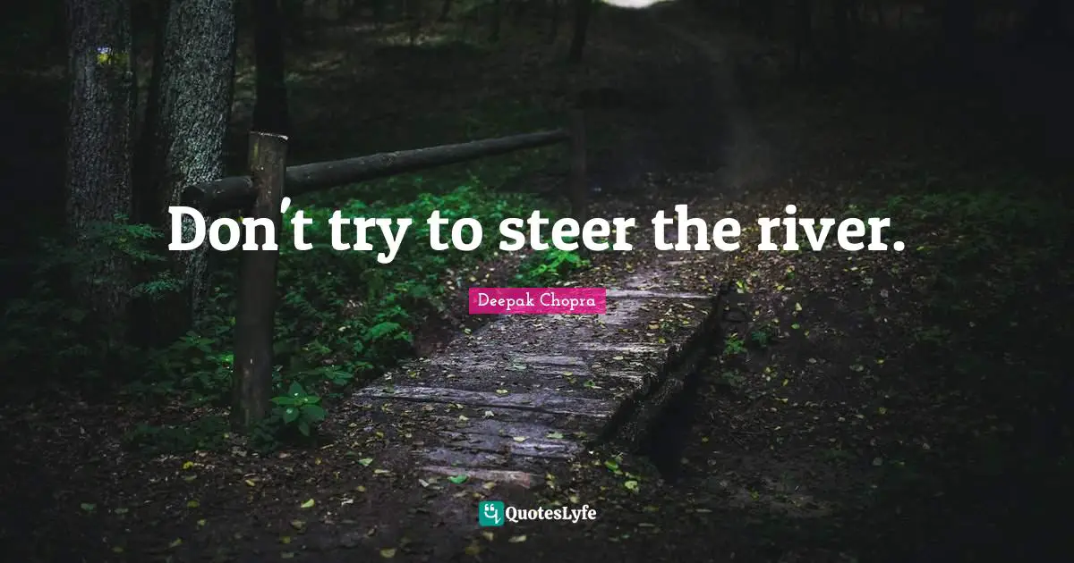 Don't try to steer the river.