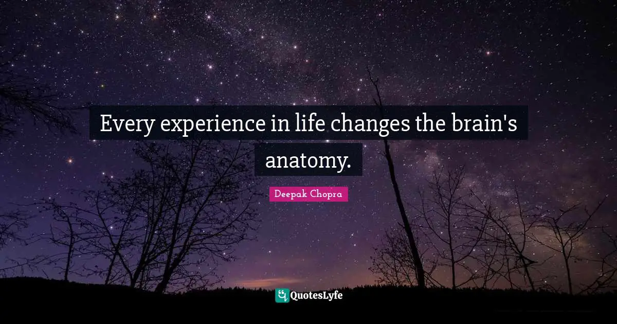 Every experience in life changes the brain's anatomy.