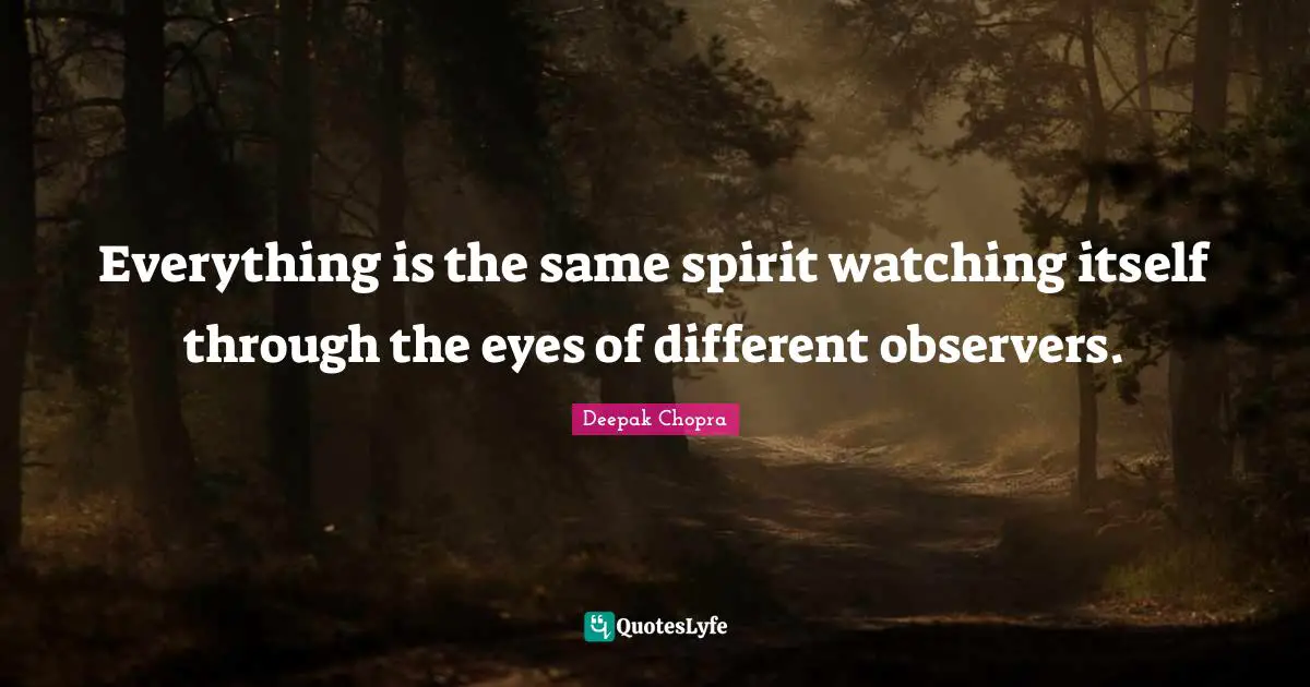 Everything is the same spirit watching itself through the eyes of different observers.