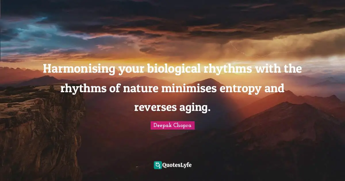 Harmonising your biological rhythms with the rhythms of nature minimises entropy and reverses aging.