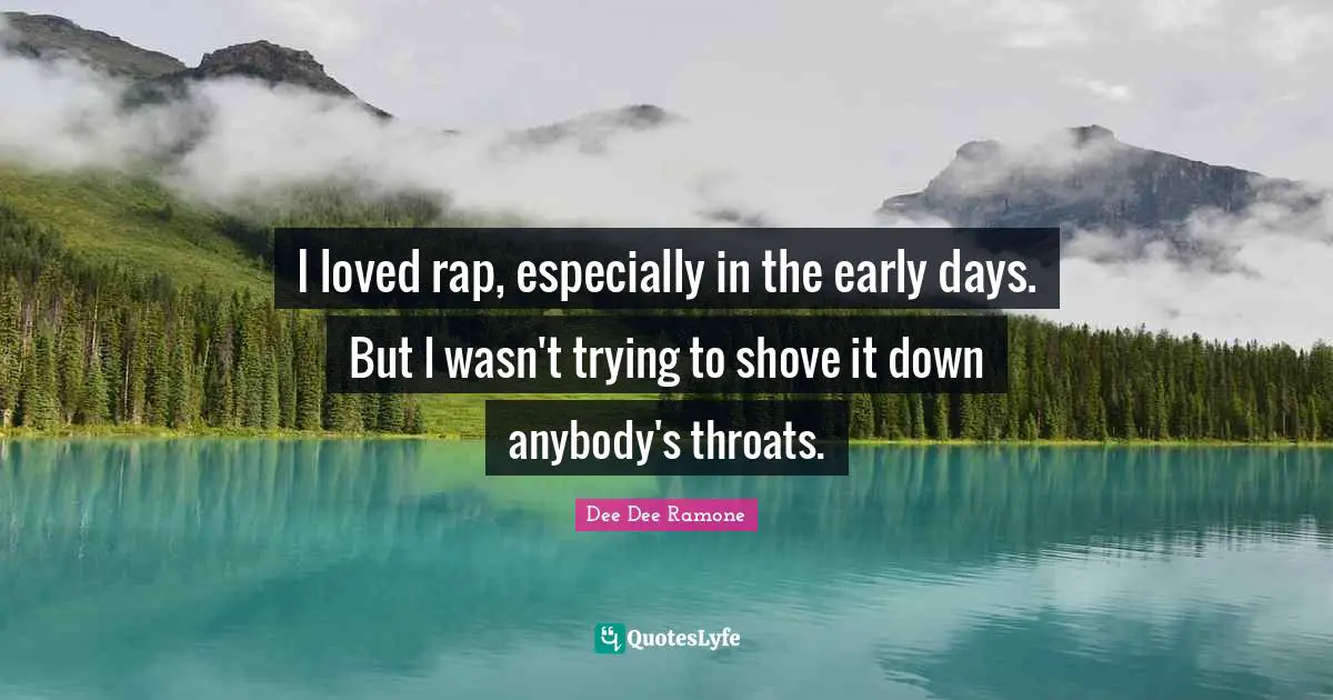 I loved rap, especially in the early days. But I wasn't trying to shove it down anybody's throats.