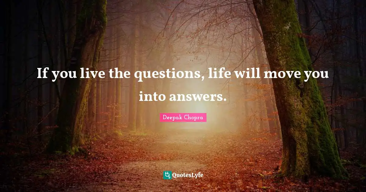 If you live the questions, life will move you into answers.