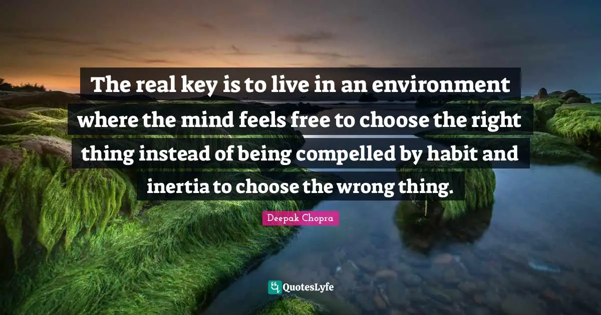 The real key is to live in an environment where the mind feels free to choose the right thing instead of being compelled by habit and inertia to choose the wrong thing.