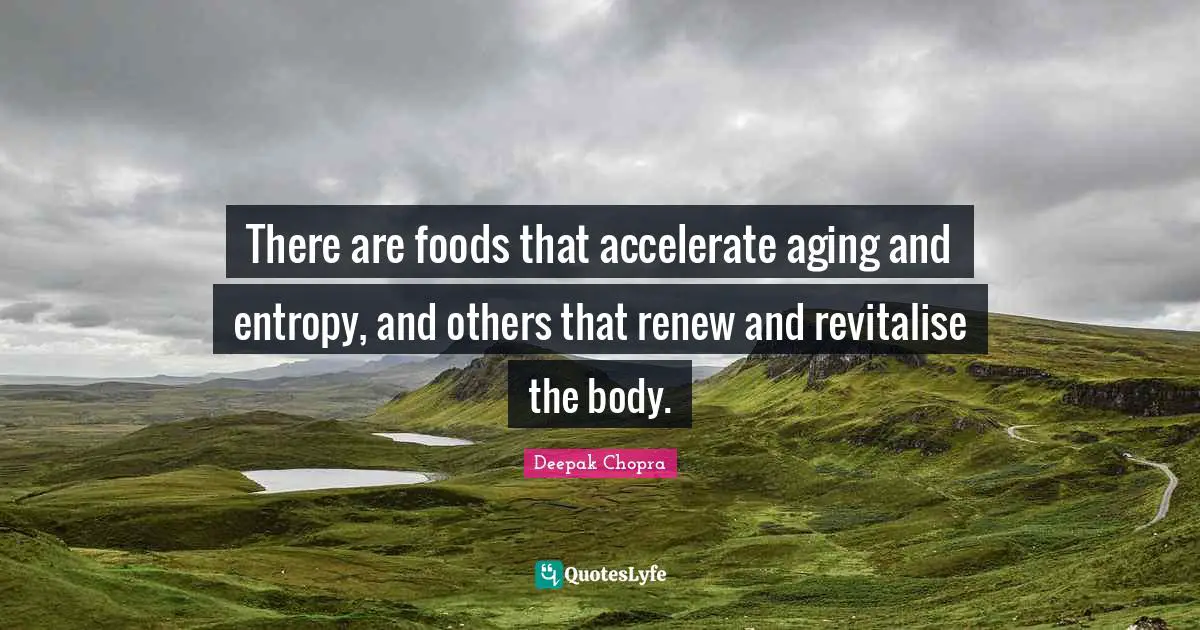 There are foods that accelerate aging and entropy, and others that renew and revitalise the body.