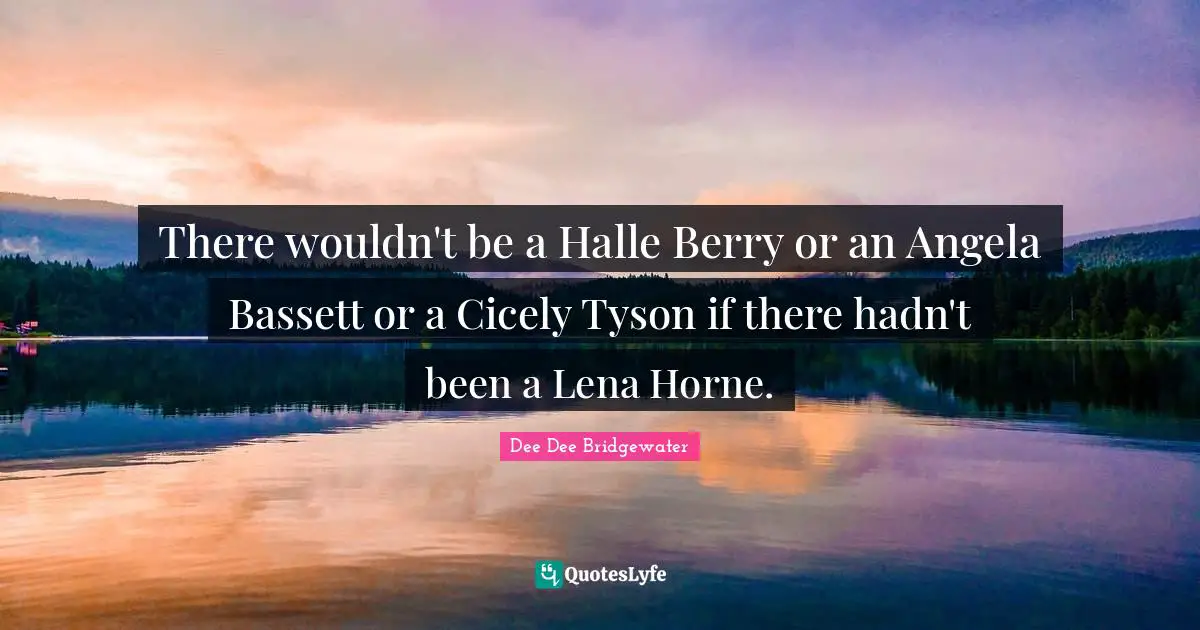 There wouldn't be a Halle Berry or an Angela Bassett or a Cicely Tyson if there hadn't been a Lena Horne.