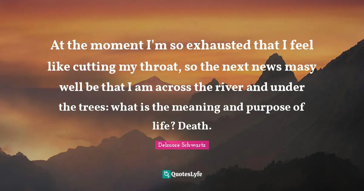 At the moment I'm so exhausted that I feel like cutting my throat, so the next news masy well be that I am across the river and under the trees: what is the meaning and purpose of life? Death.