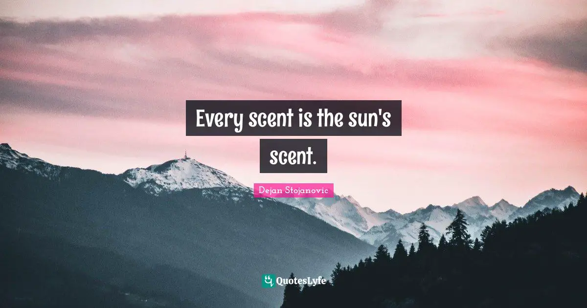 Every scent is the sun's scent.