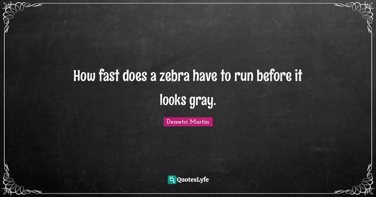 Demetri Martin Quotes: "How fast does a zebra have to run before it looks gray."