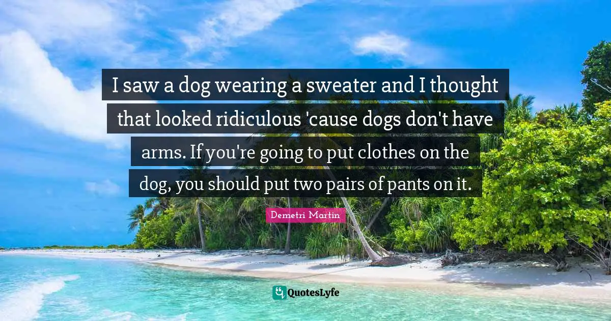 Sweaters Quotes: "I saw a dog wearing a sweater and I thought that looked ridiculous 'cause dogs don't have arms. If you're going to put clothes on the dog, you should put two pairs of pants on it."