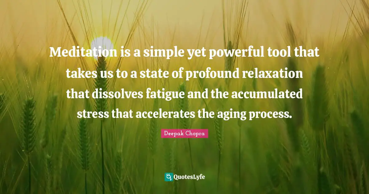 Meditation is a simple yet powerful tool that takes us to a state of profound relaxation that dissolves fatigue and the accumulated stress that accelerates the aging process.