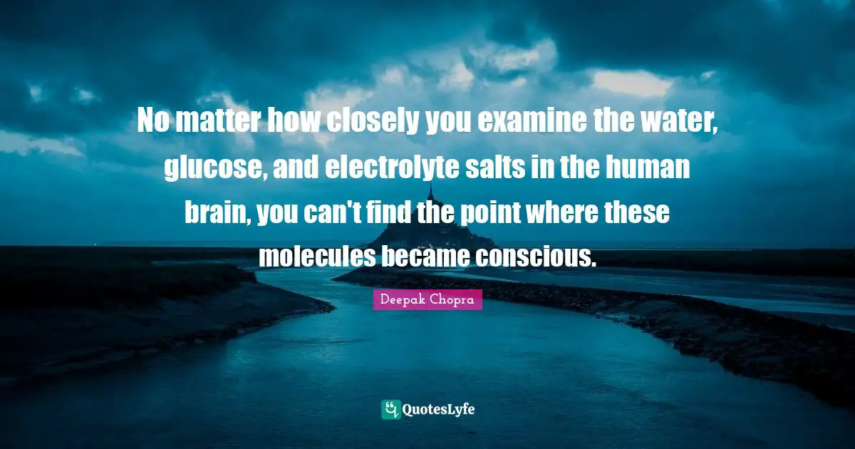No matter how closely you examine the water, glucose, and electrolyte salts in the human brain, you can't find the point where these molecules became conscious.