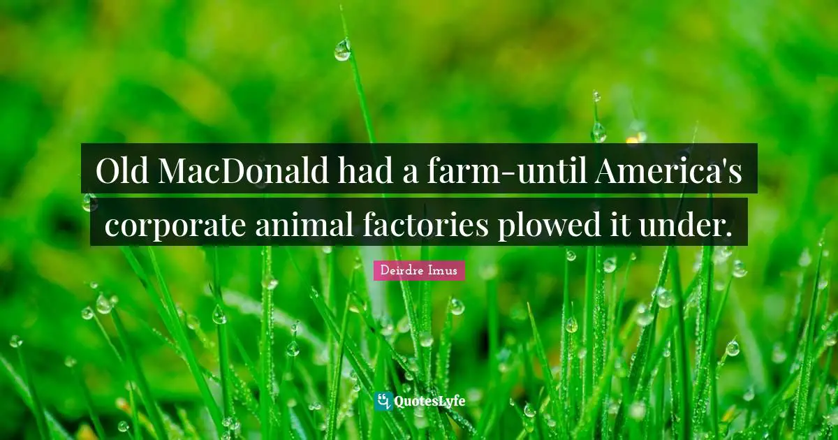 Old MacDonald had a farm-until America's corporate animal factories plowed it under.
