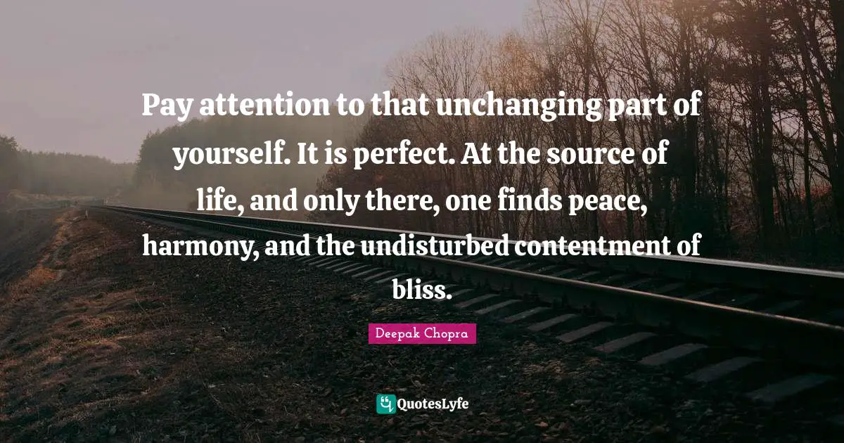 Source Of Life Quotes: "Pay attention to that unchanging part of yourself. It is perfect. At the source of life, and only there, one finds peace, harmony, and the undisturbed contentment of bliss."