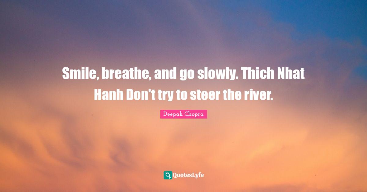 Smile, breathe, and go slowly. Thich Nhat Hanh Don't try to steer the river.