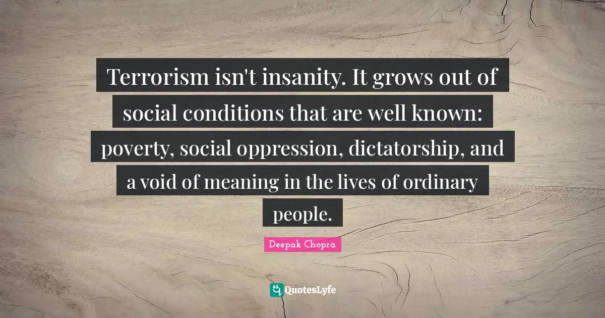 Terrorism isn't insanity. It grows out of social conditions that are well known: poverty, social oppression, dictatorship, and a void of meaning in the lives of ordinary people.