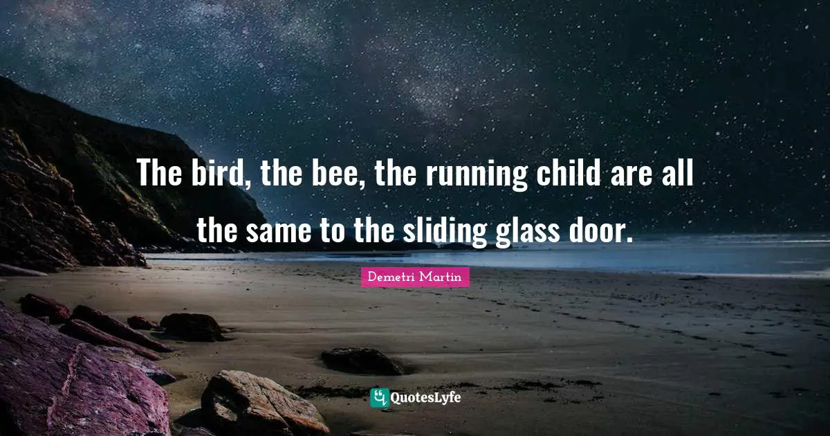 The bird, the bee, the running child are all the same to the sliding glass door.